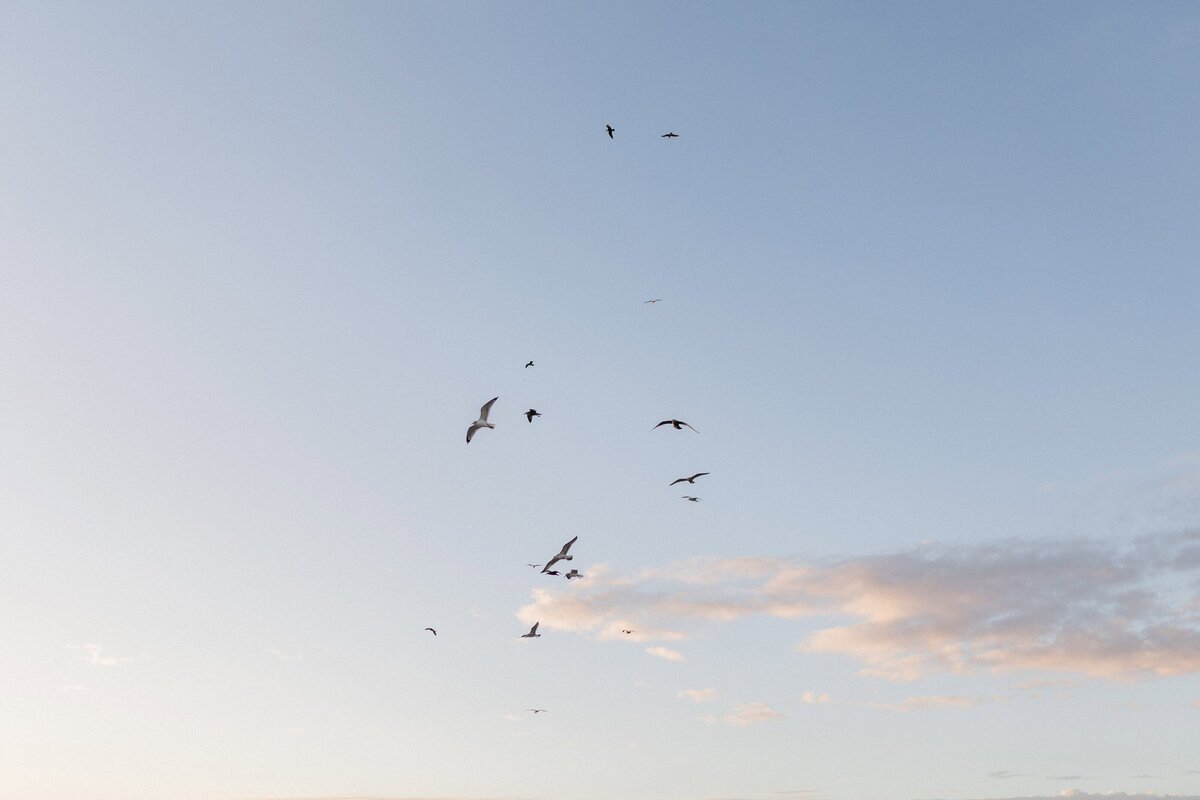Brigantine_NJ_LGTBQ+_engagement_photos_25