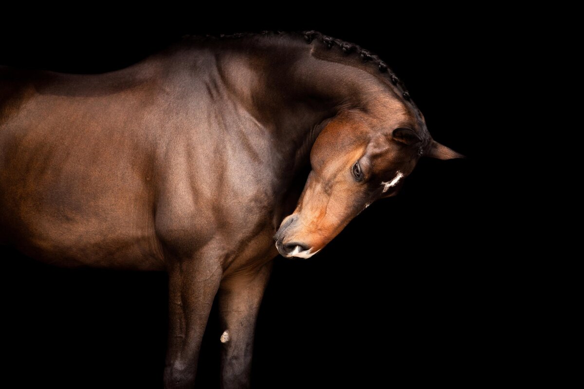 Portfolio-blackfotografie-galerij2-ByMarita