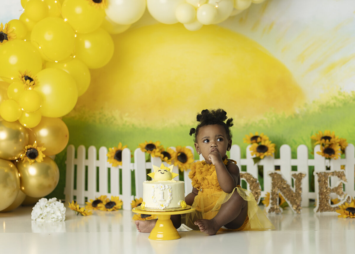 Hampton Georgia cake smash photographer, Atlanta cake smash photographer, jonesboro Georgia cake smash photographer, Fayetteville cake smash photographer, Mcdonough cake smash photographer