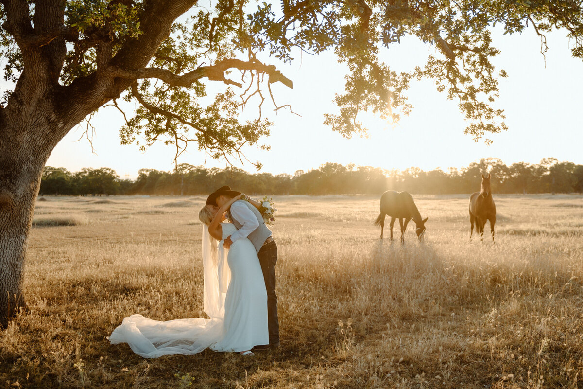 morrisonweddinggoldenhour-38