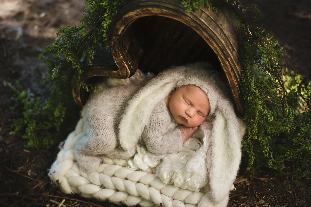 Newborn boy in a bunny knit outfit asleep outdoors in a heart basket photographed by Tamara Danielle Photography, Greater Toronto Newborn Photographer.