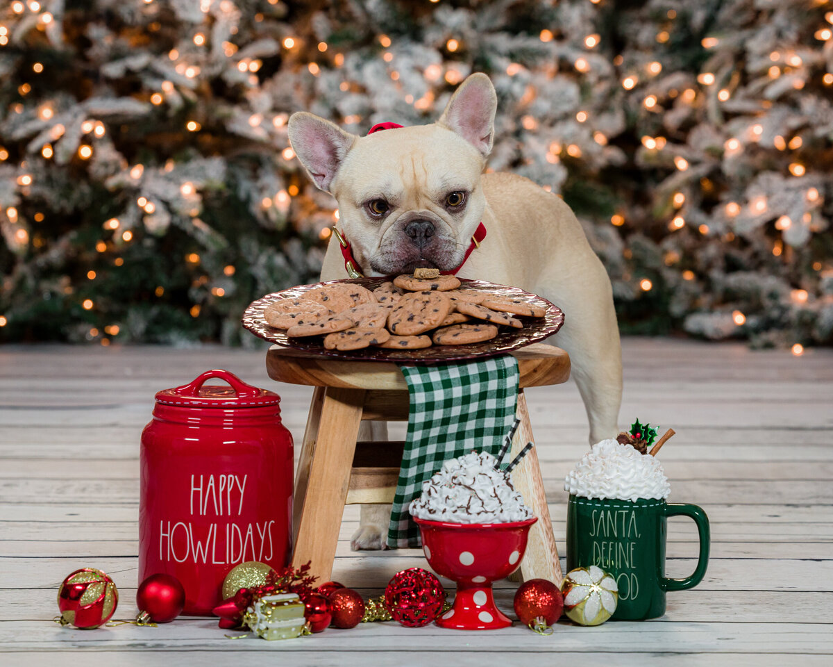 FoxBrazen_HolidayExperience2022Leupold_0209a