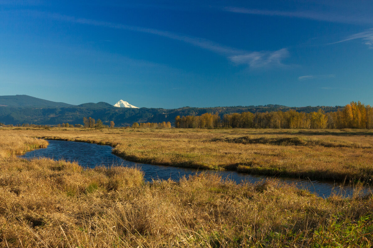 steigerwald_refuge_0402_C1