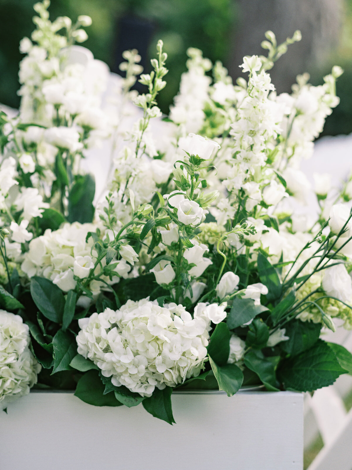 Hildene-Wedding-WillReidPhoto-74