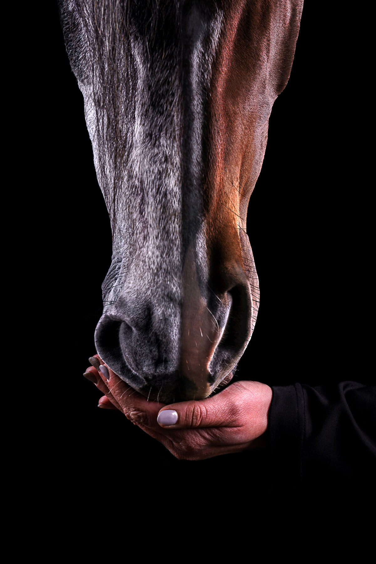 DSC03340-Edit