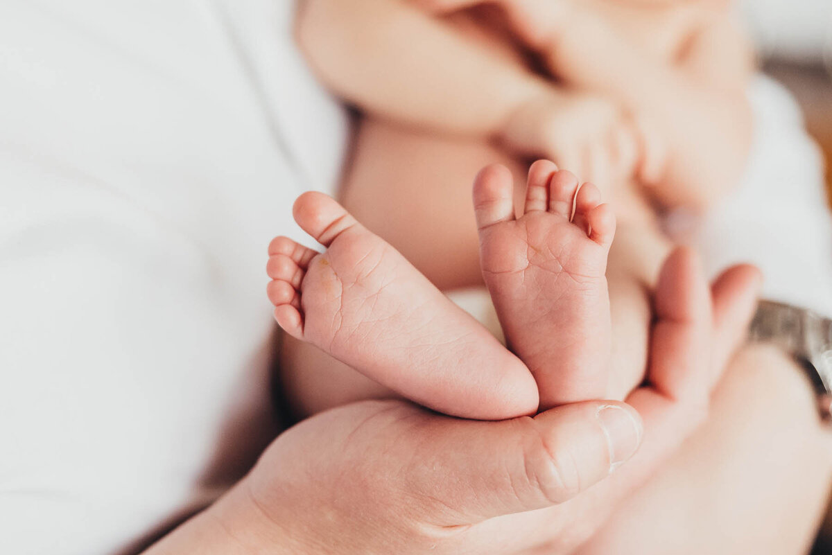 close up of adorable baby feet