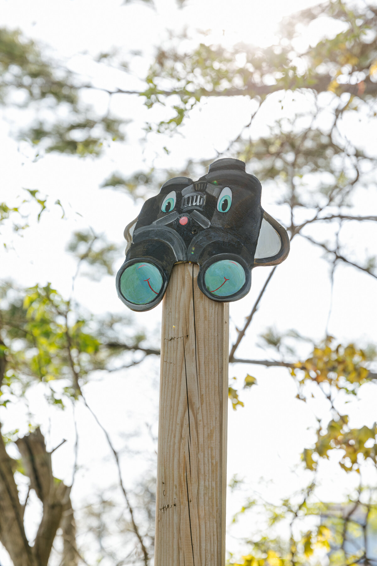 SlowToons_Binoculars2