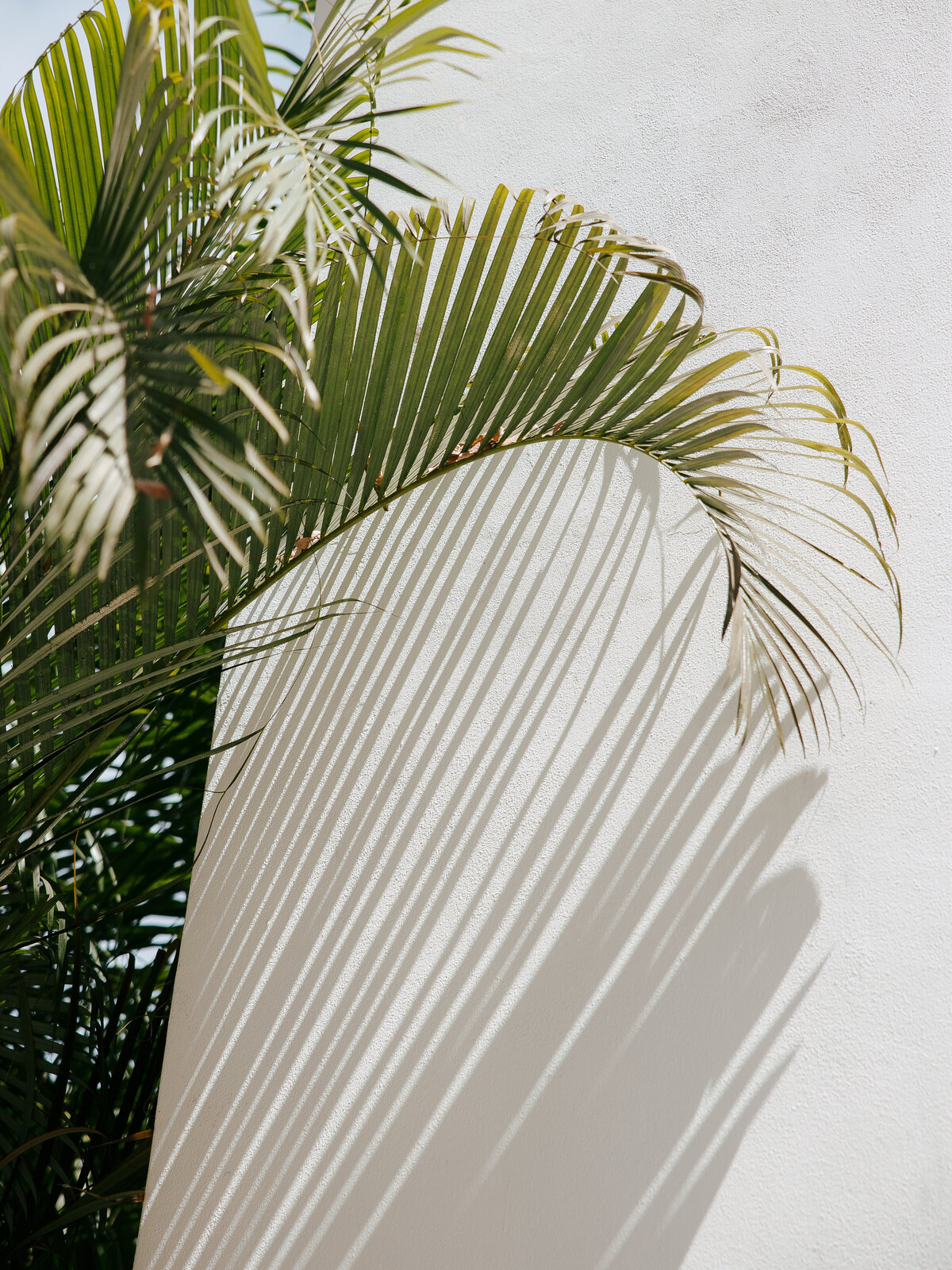 Vazquez Photography -Puerto Vallarta Mexico-48