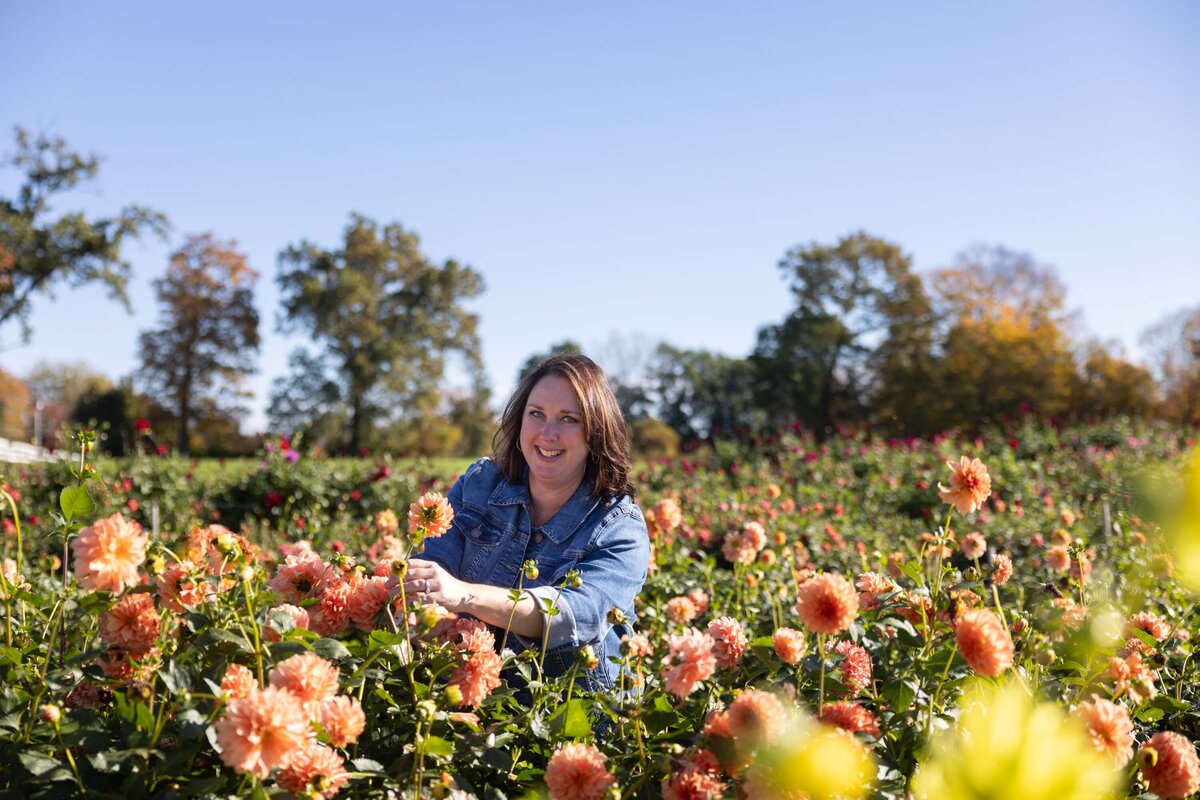 BarnDoorBlooms_Dahila Field-4