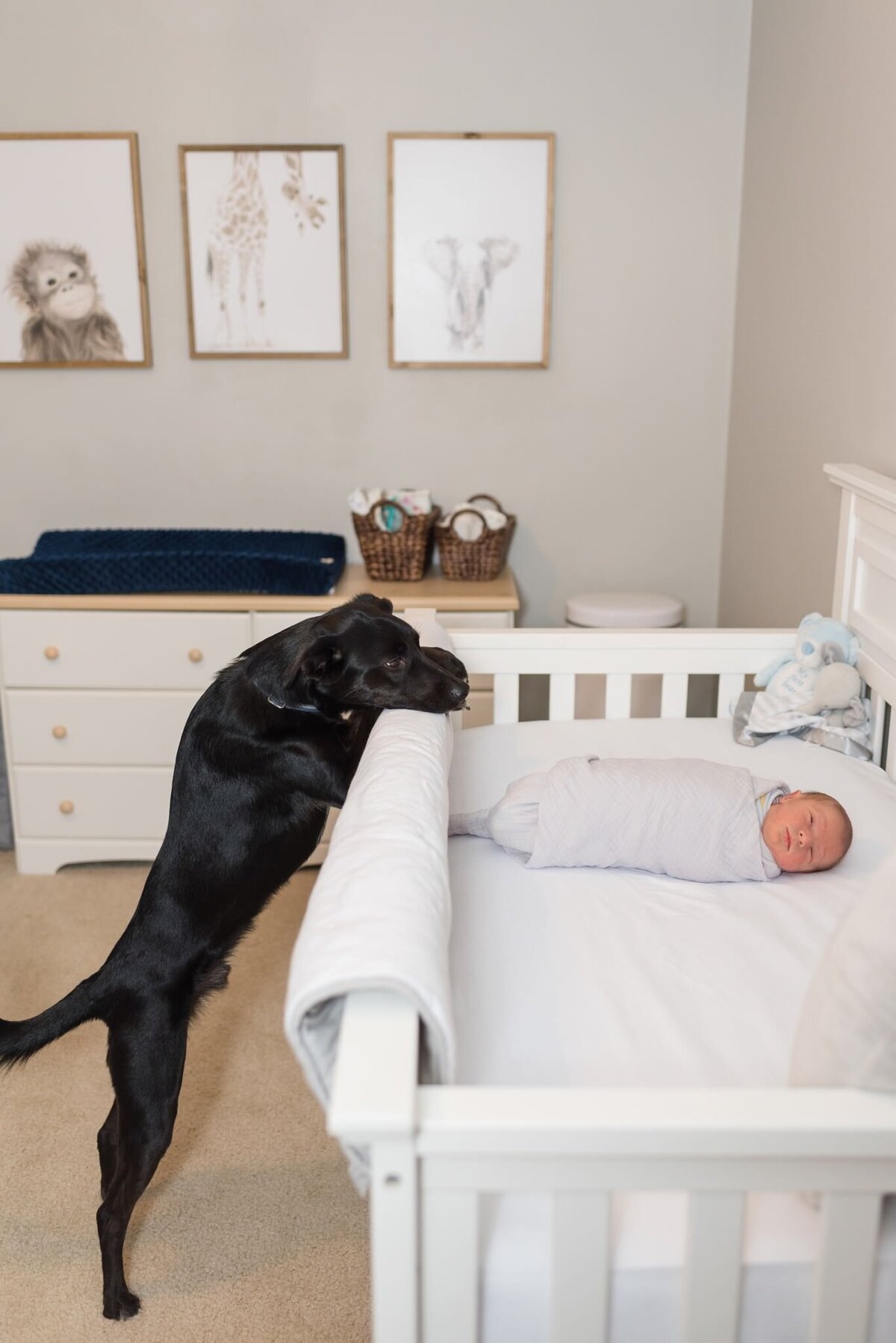 Nashville-Newborn-and-Family-Photography+6