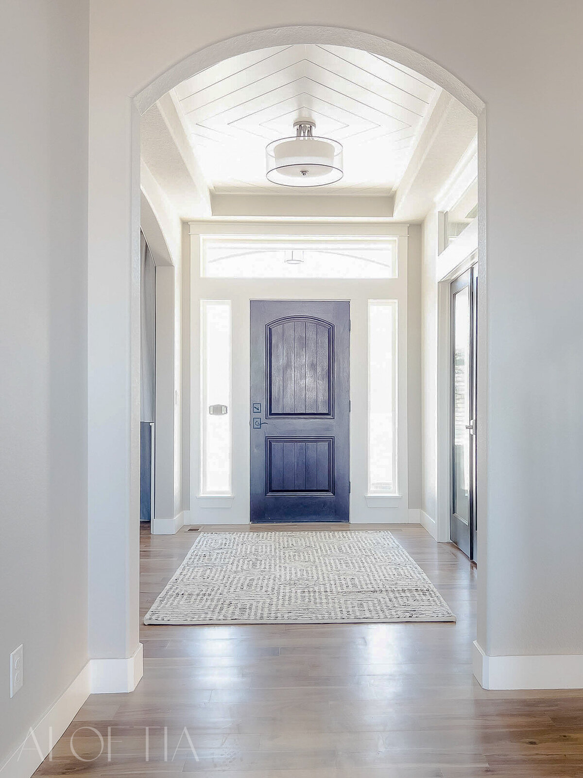 Light-Filled-Entry-Way-Ceiling-Treatment-Colorado-8