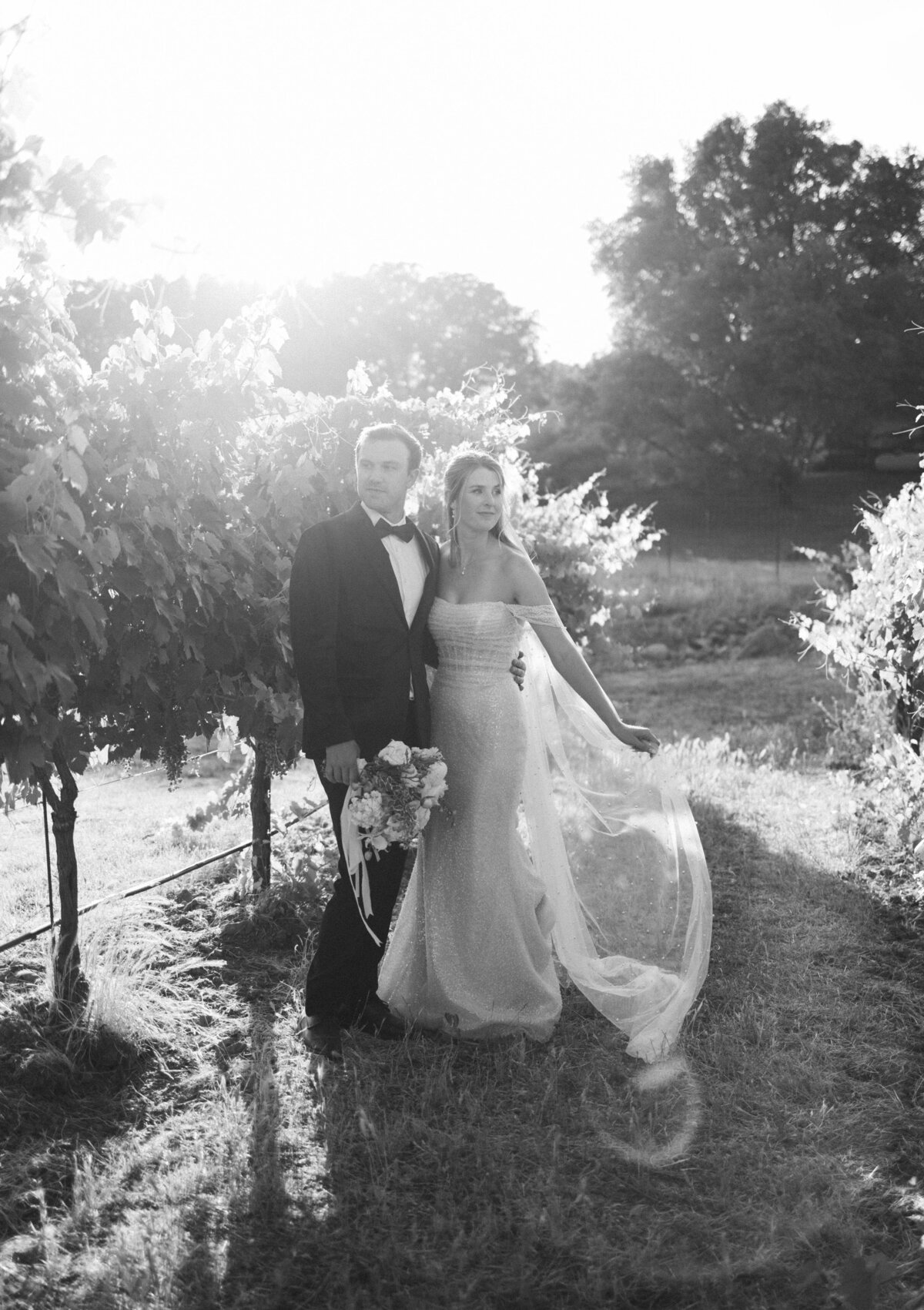 Saureel Vineyards, Placerville-127