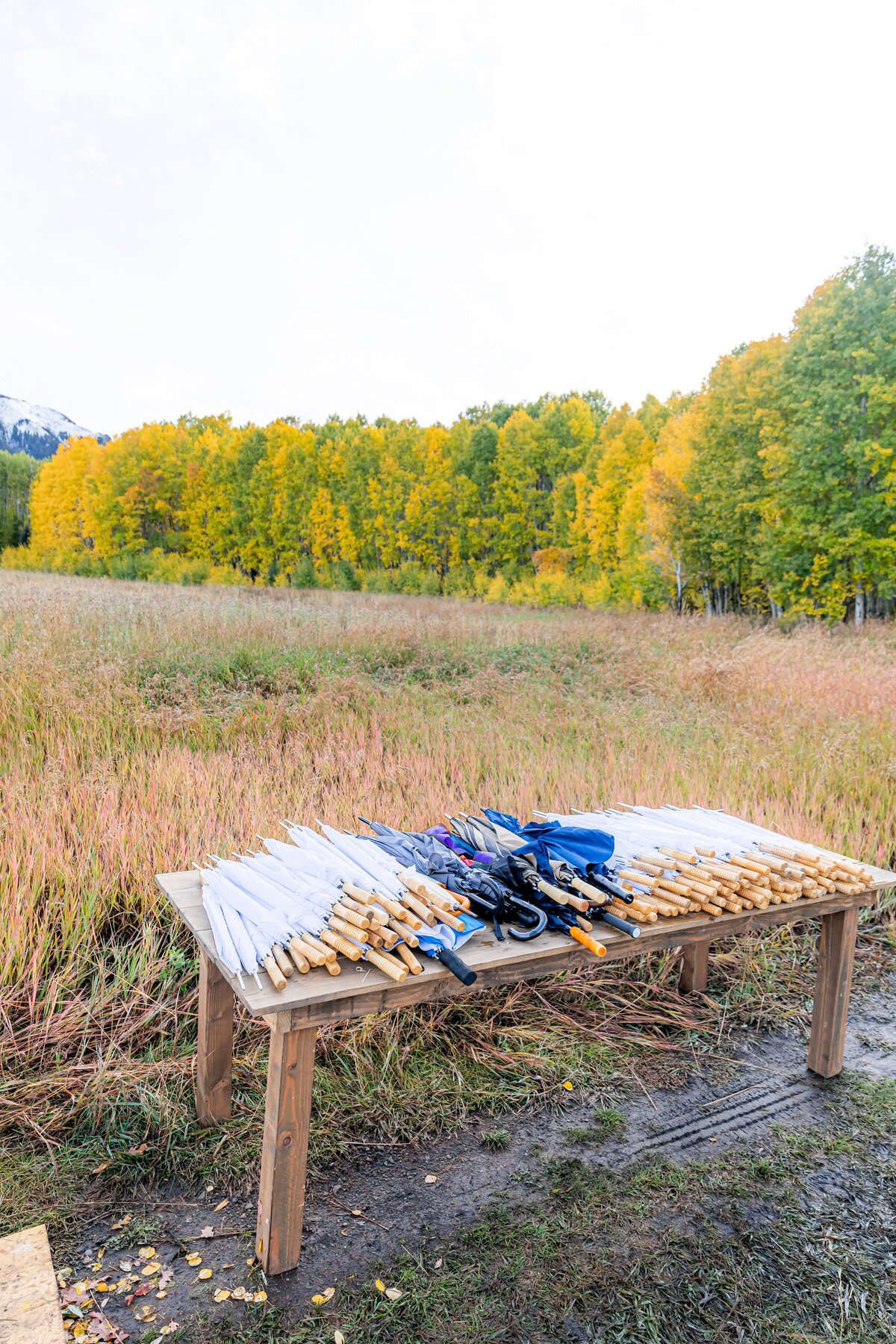 TellurideWeddingPhotographer-AbieLivesayPhotography-SoireeTellurideWeddingPlanner-LaurieJon-780