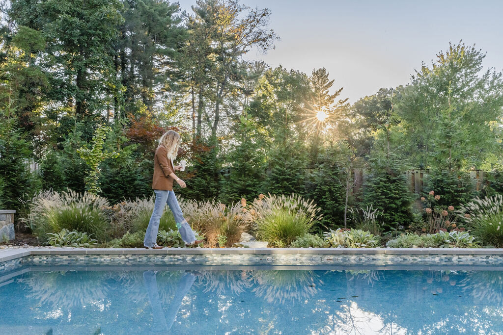 A beautifully lit poolside garden with ornamental grasses and shrubs.