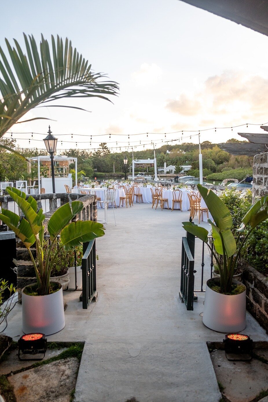 Retirement-Party-Bermuda-Dasfete-3