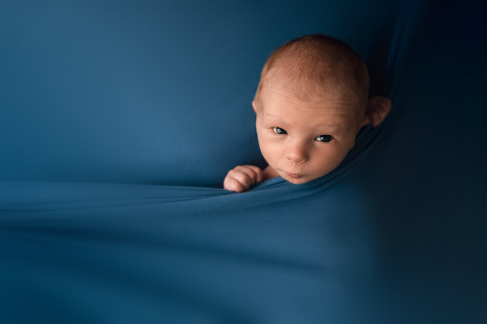 denver-newborn-photographer-6