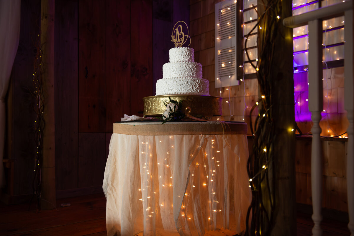 Boutique-Boston-Wedding-Photography-12
