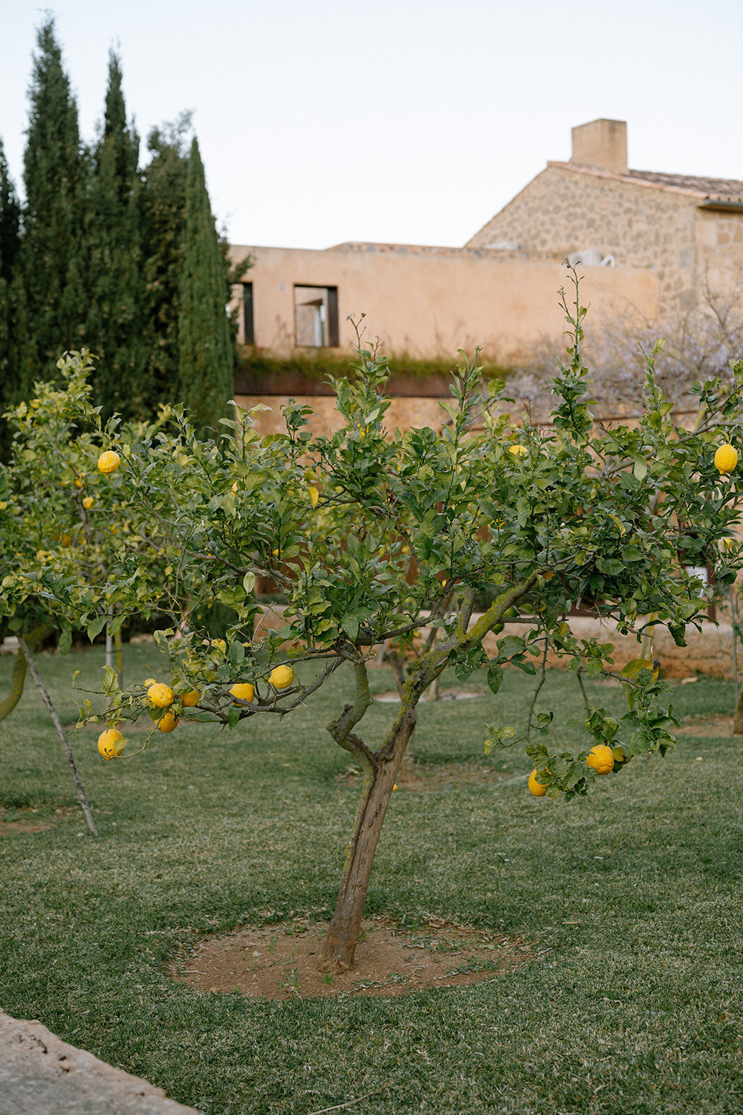 CanSimonetaMallorca-225