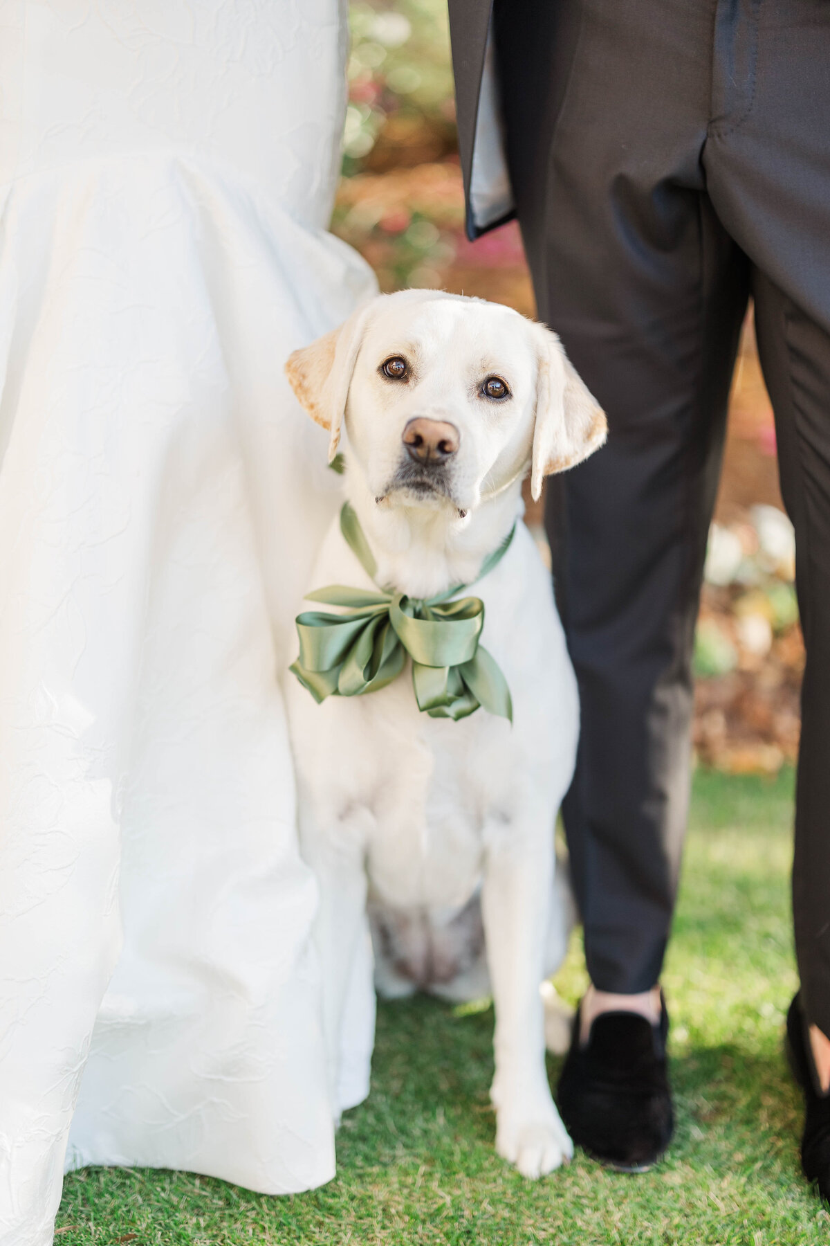 Lellyett-Wedding-SNEAKPEEK-35