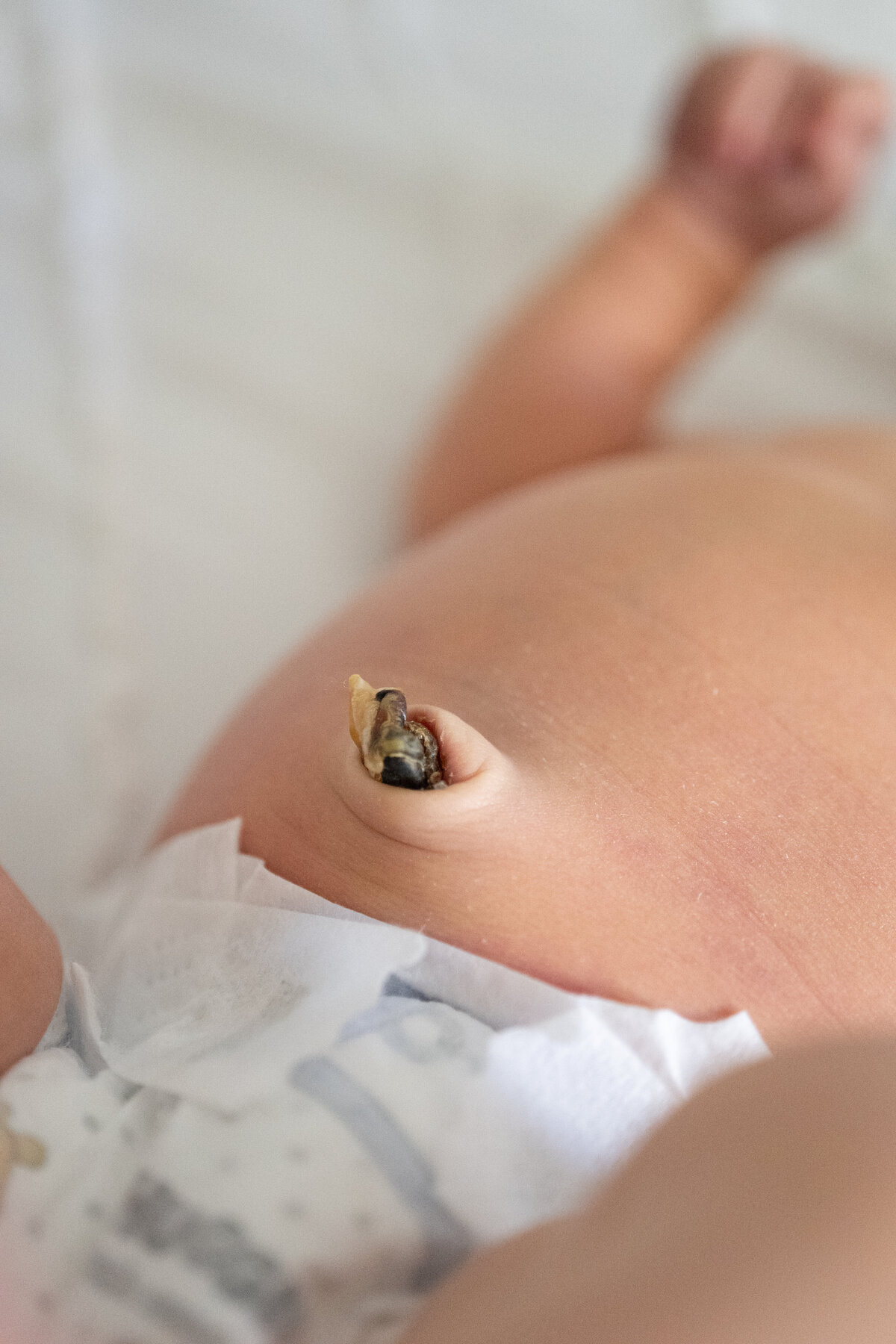 Malenke Family and Newborn Gallery 2025 November-67