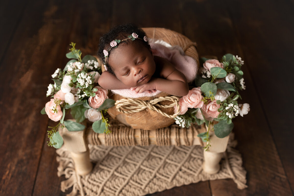 Michelle Lee Photography | Newborn, Cake Smash, and Portrait Photographer