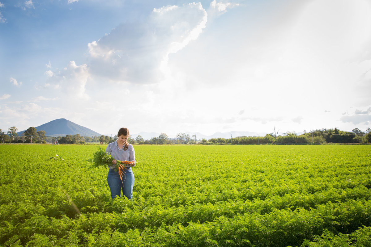 Farm Photographer Brisbane