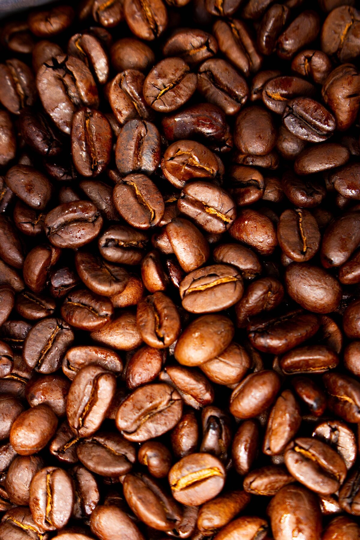coffee-brand-photos