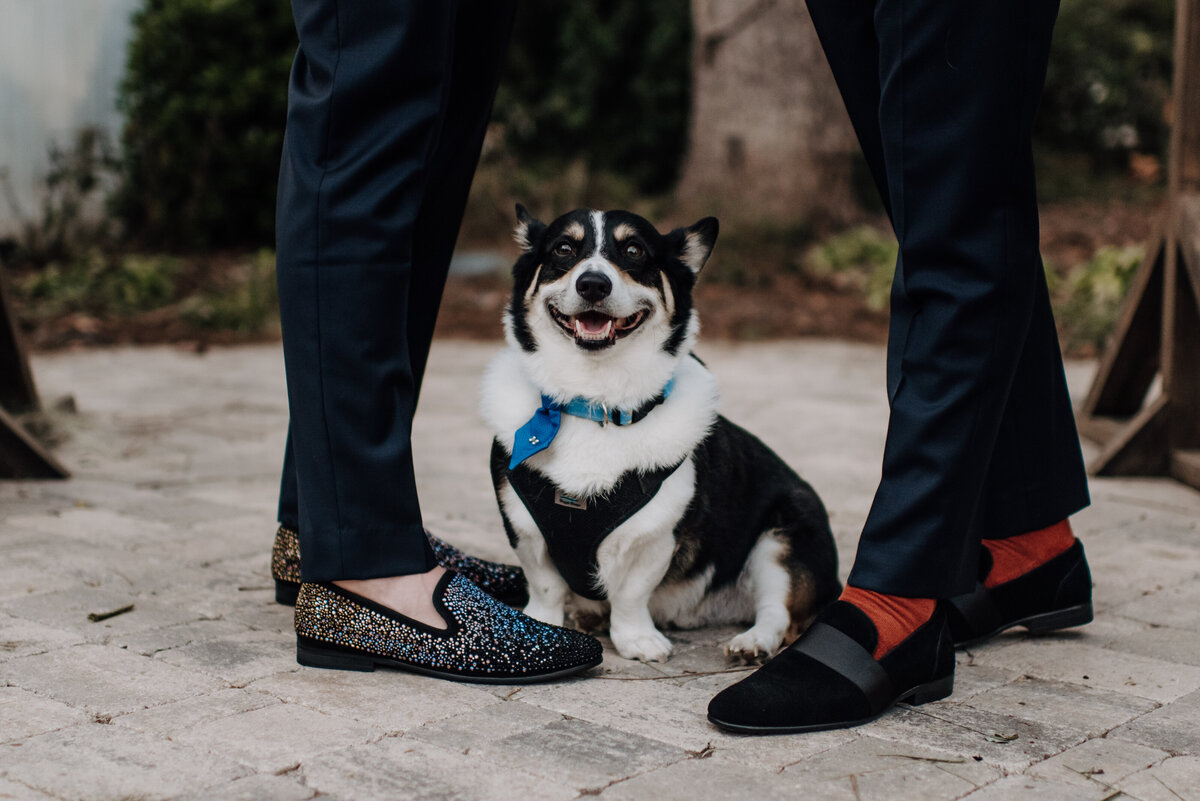 Husbabes.2022.AlexisFrazierPhotography-676