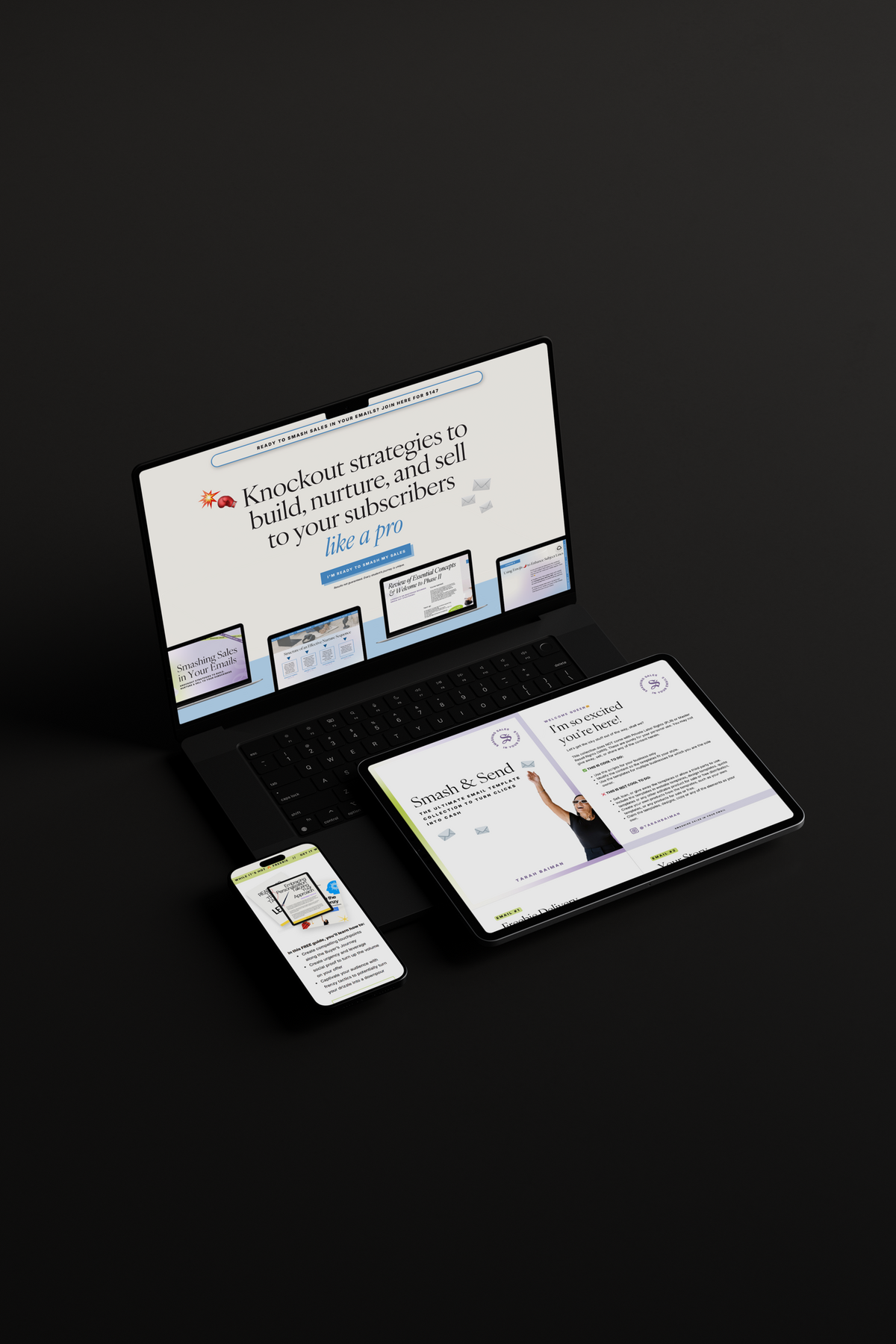Smashing-Sales-Online-Marketing-Monetization-Strategies