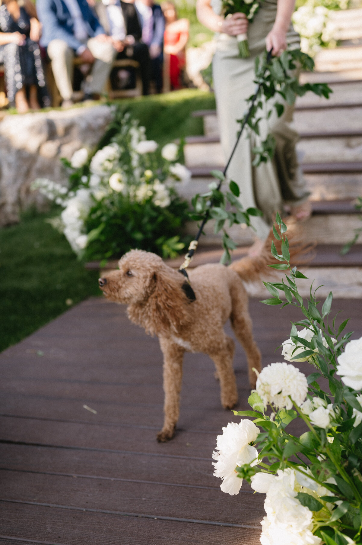 Calluna-Events-Aspen-Wedding-Deck-Ceremony-Dog