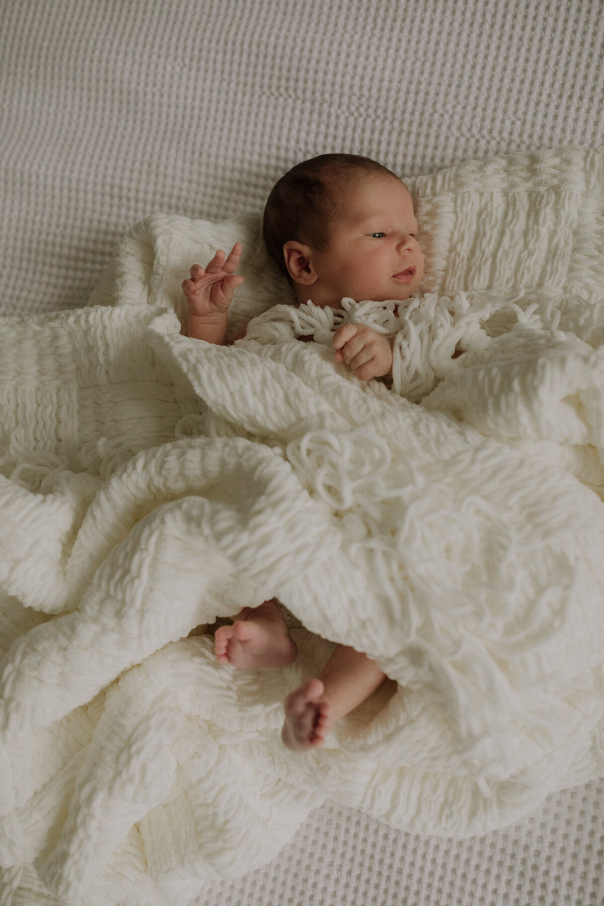 jaimie-scott-lennon-newborn-family-photography-dundas-ancaster-fall-autumn-11