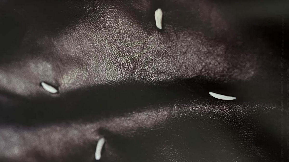Margiela in the void collection (1)