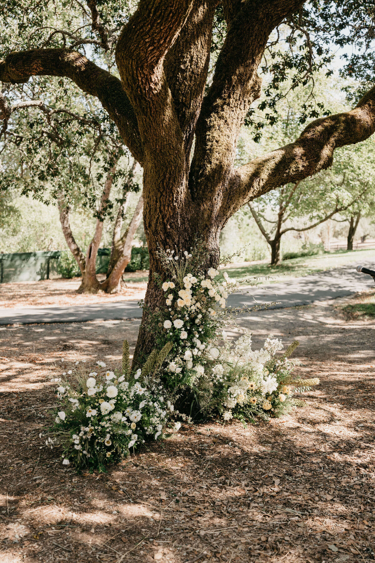 Sonoma Private Estate Wedding flowered ceremony tree