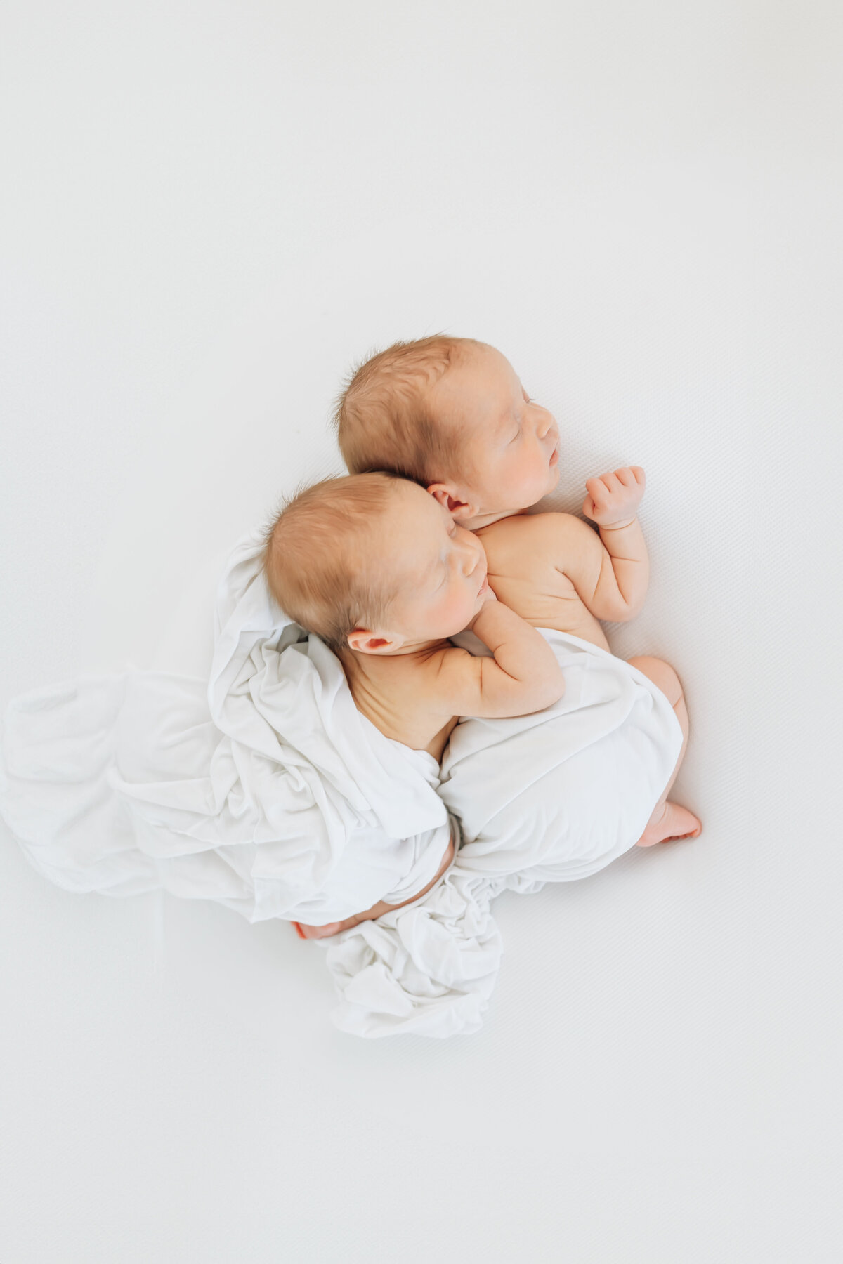 CDC -  Shanholtz Newborns 2024-079