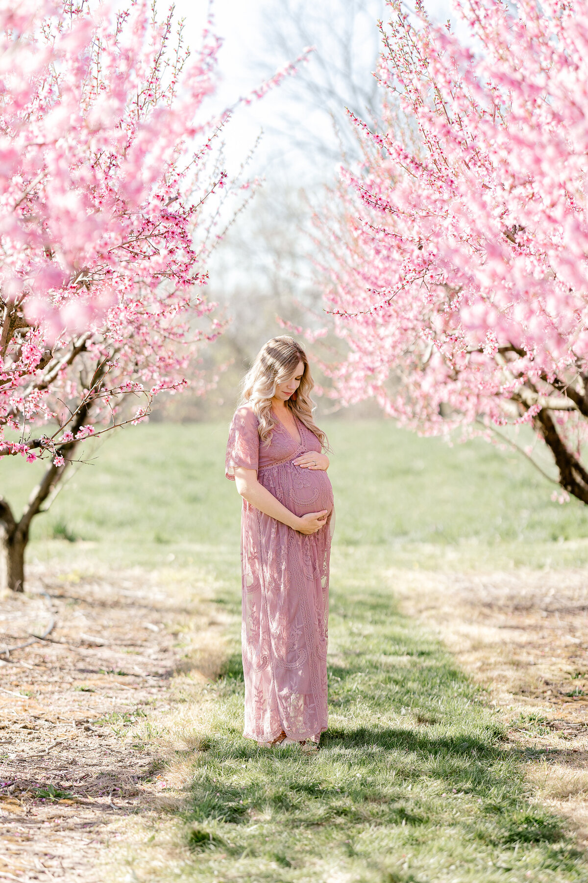 Grand Rapids Maternity Photos