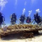 Coral-Reef-Restoration-Program