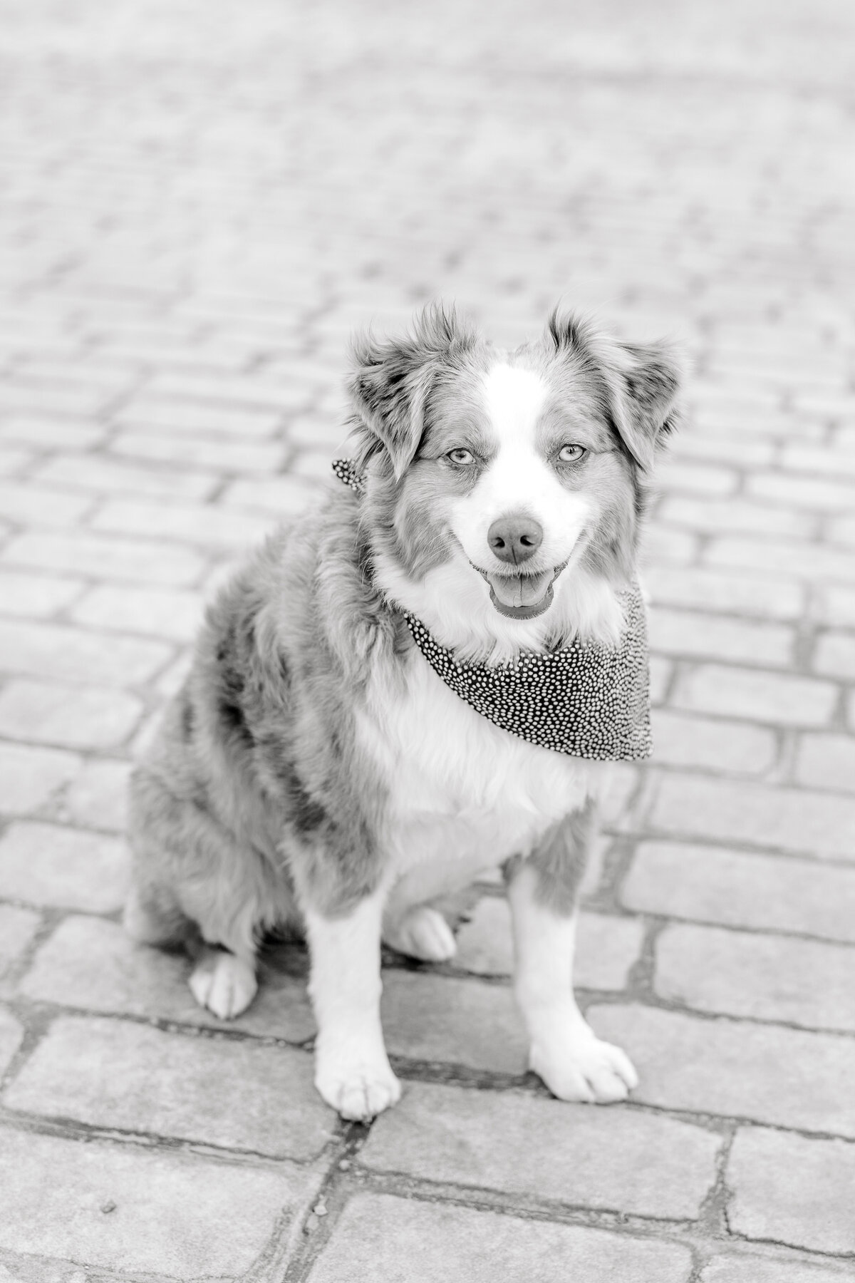 Engagements-022