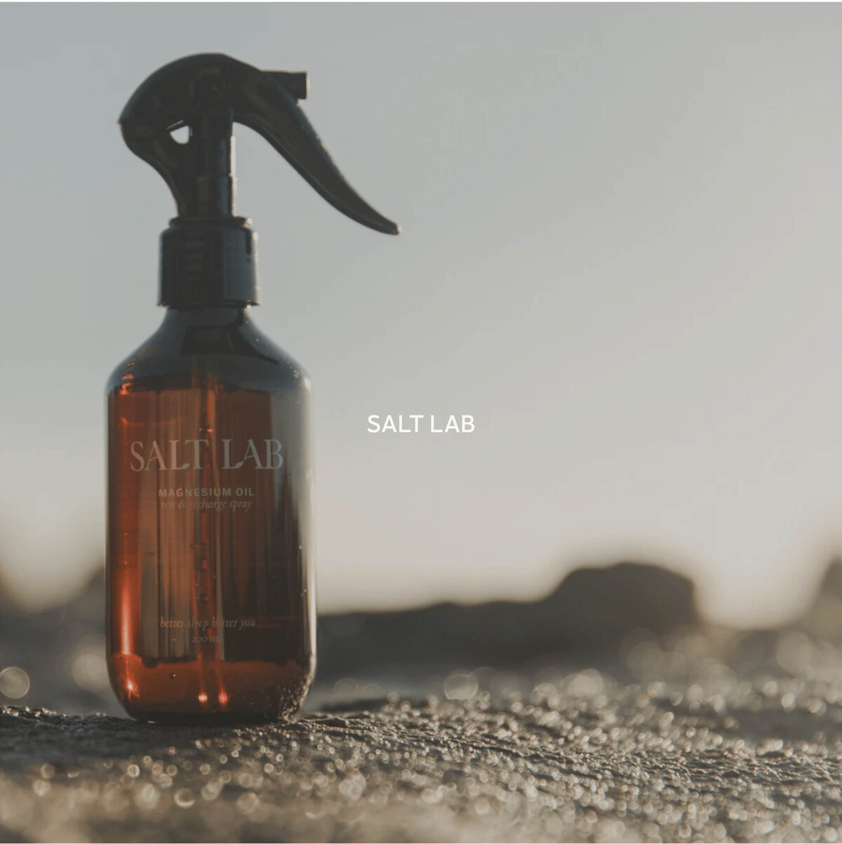 SaltLab_v4_HayleyGCreative_Portfolio