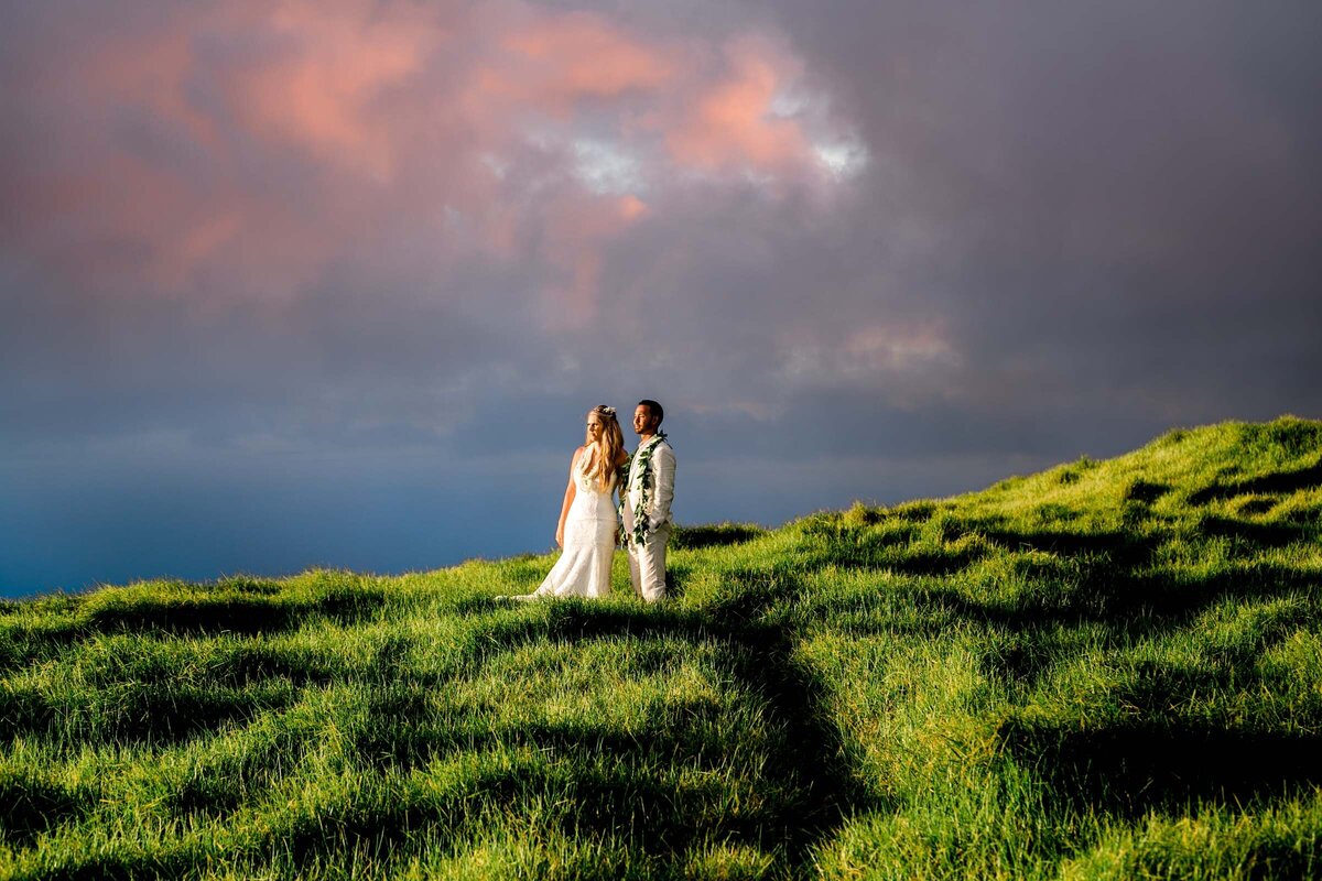 HawaiiWedding (1)