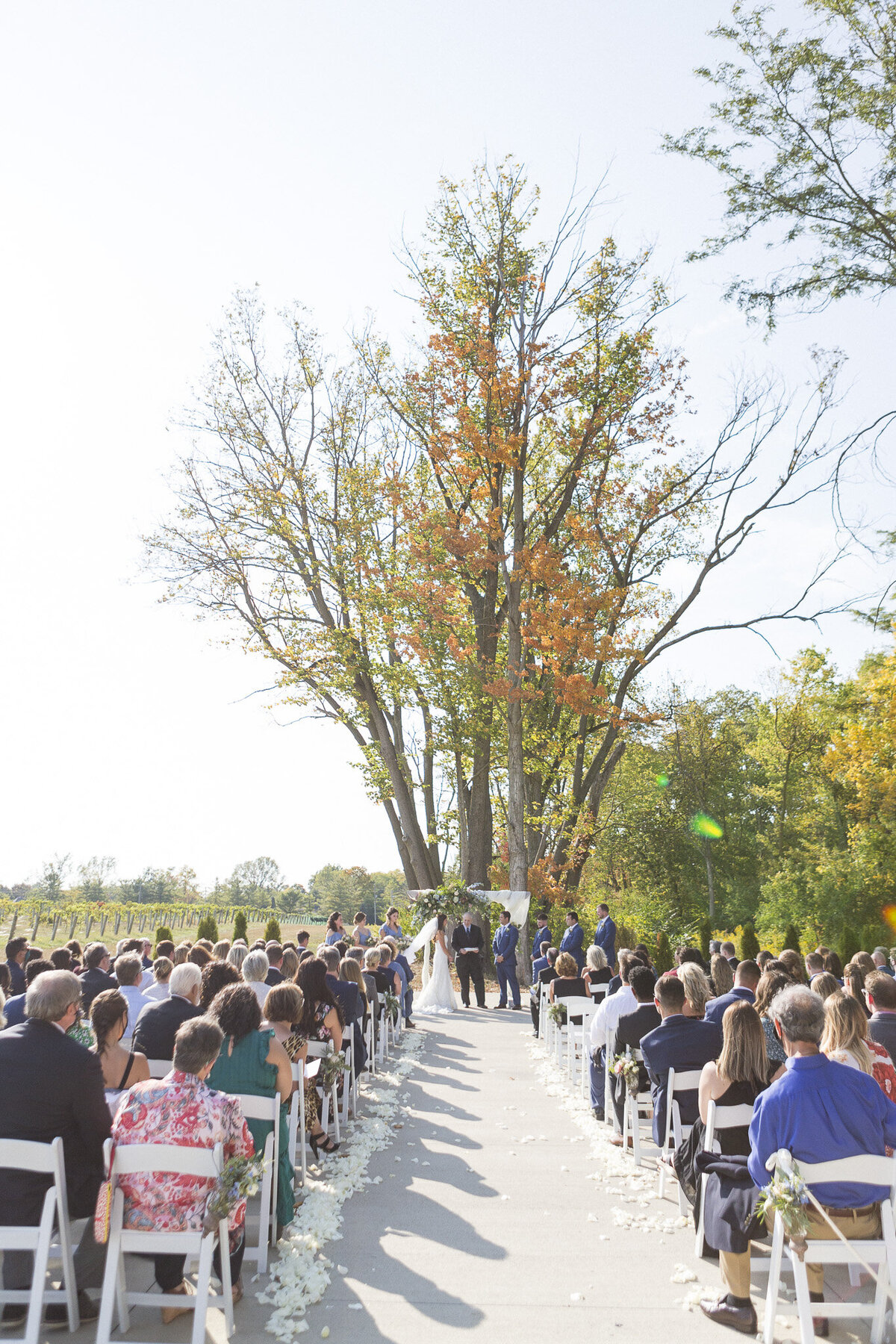 Daniel's Vineyard Wedding | ErikaBrownPhotography.com-0392