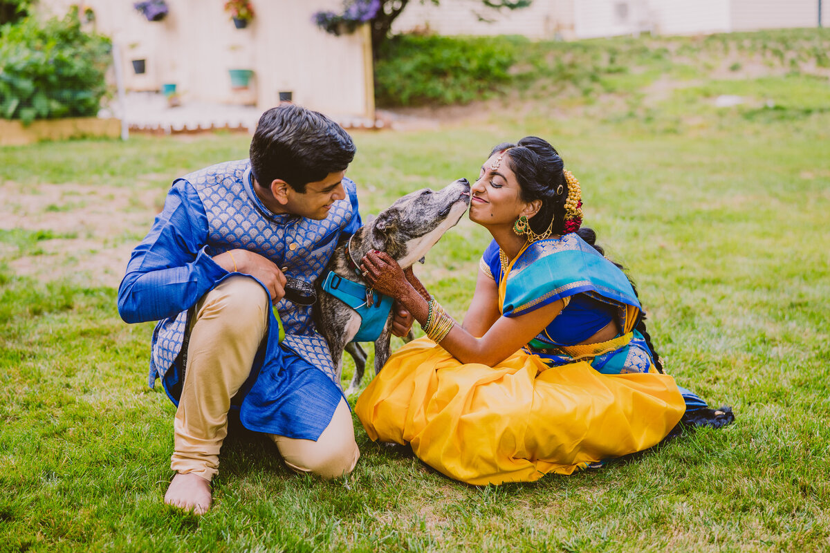 Indian telegu bride and groom licked by the dog after the hindu wedding ceremony