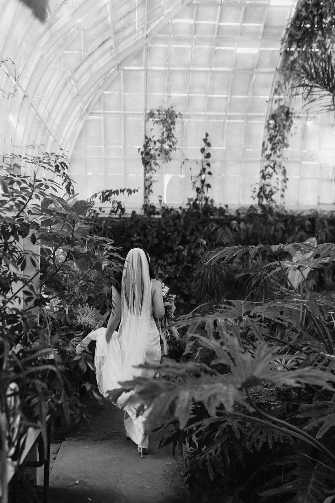 Bride walking amongst plants at Finger Lakes wedding, NY