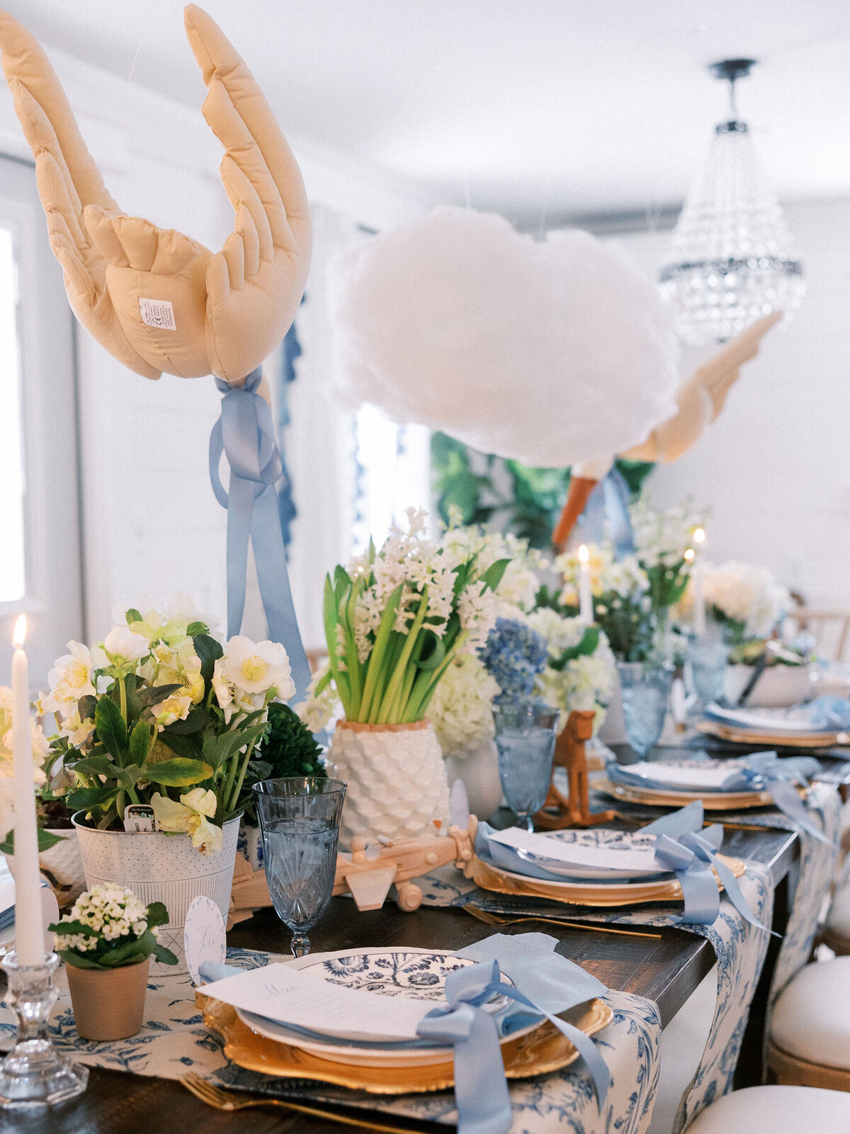 Em-and-e-events-baby-sprinkle-sapphire-and-lace-cottage-annetroxelpittsburghweddingphotography-1382