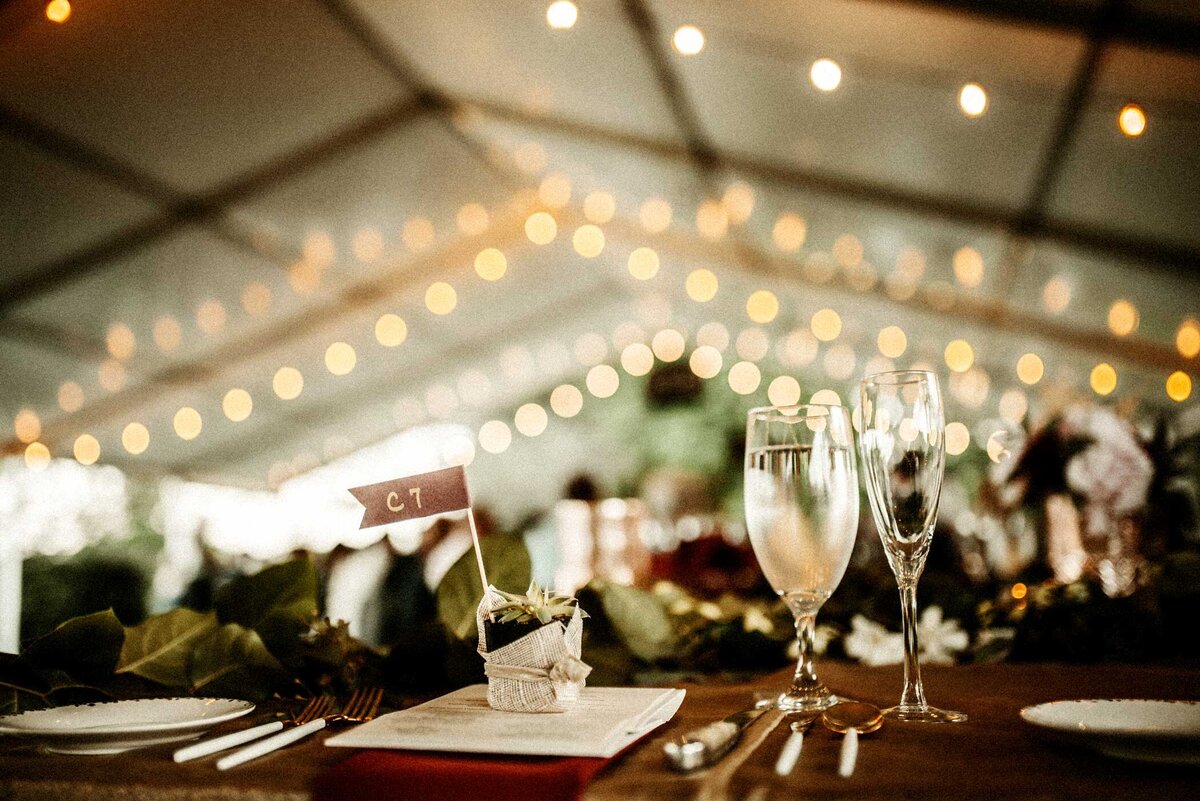 plant-wedding-gifts-tent-wedding-indoor-st-louis-missouri