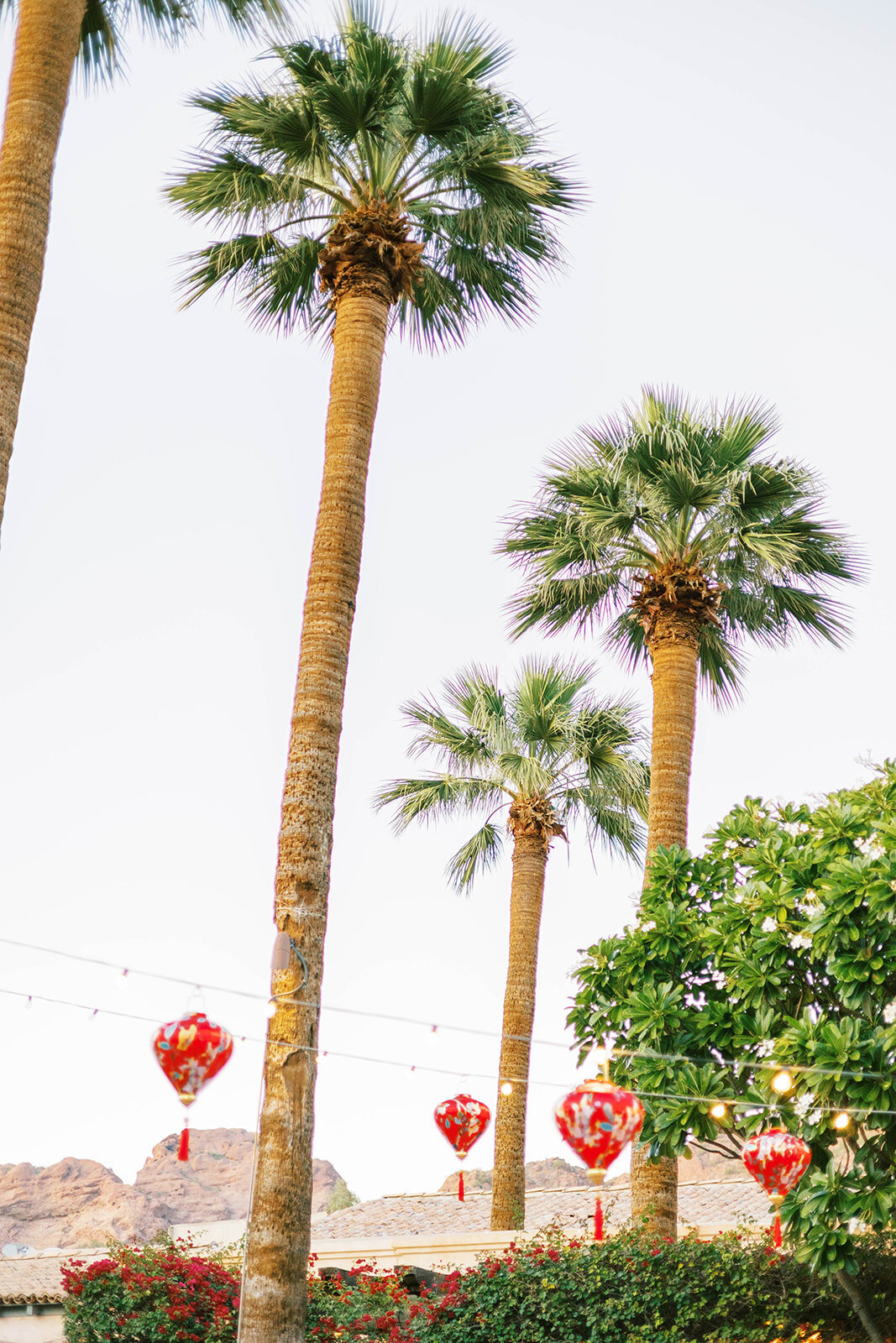 Phoenix-Wedding-Photographers-The-Royal-Palms-Weddings-9