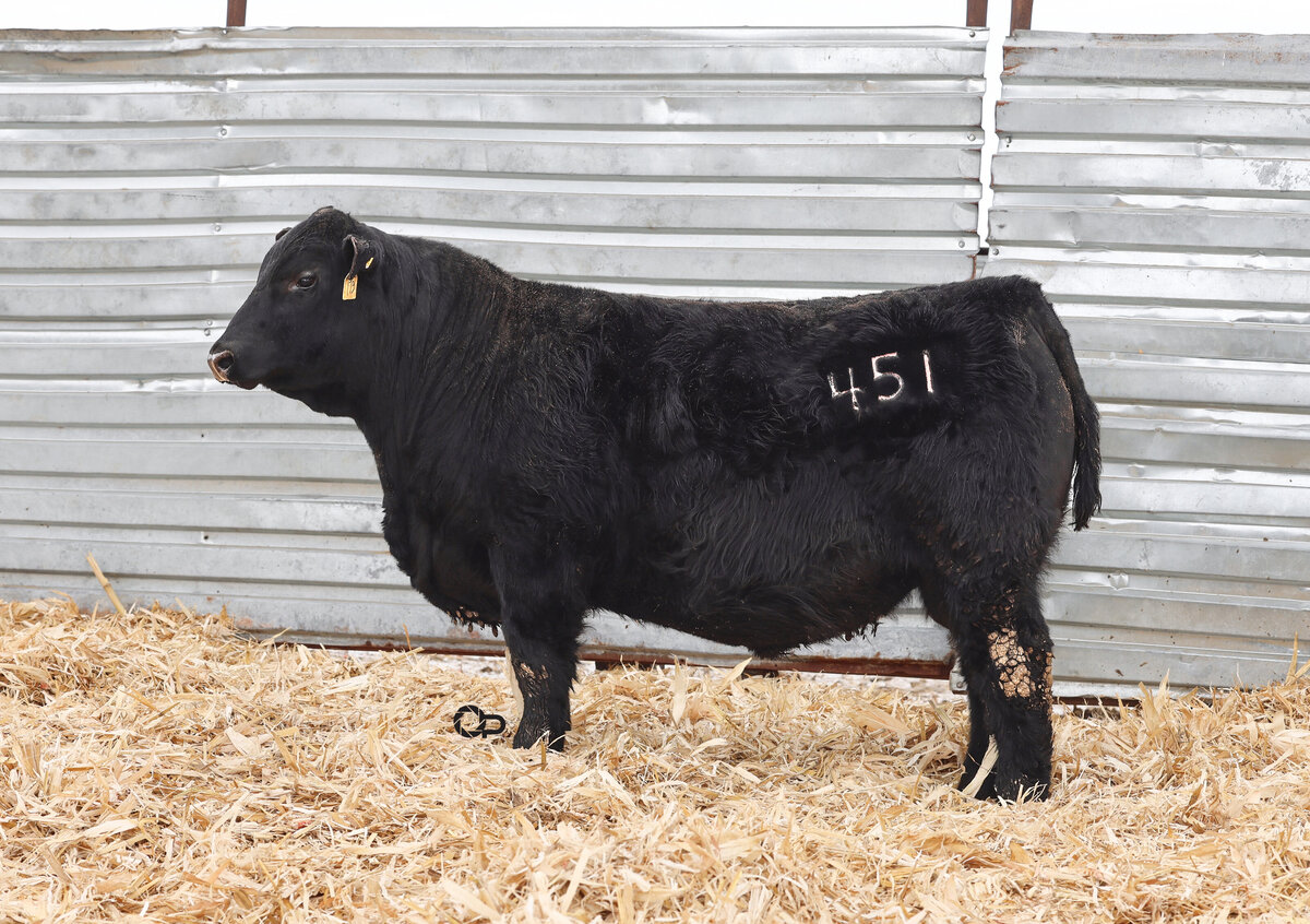 Sonstebo - 451 (L)-ET