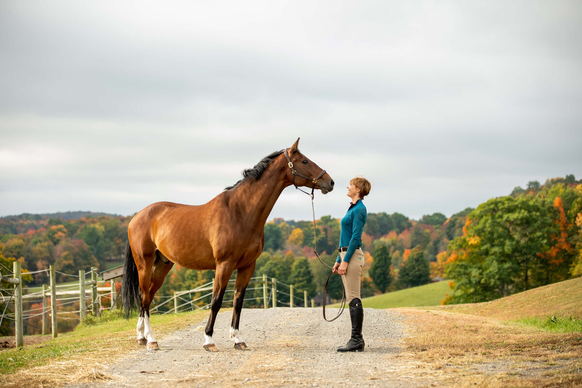 equestrian-photography-saratoga-ny-26