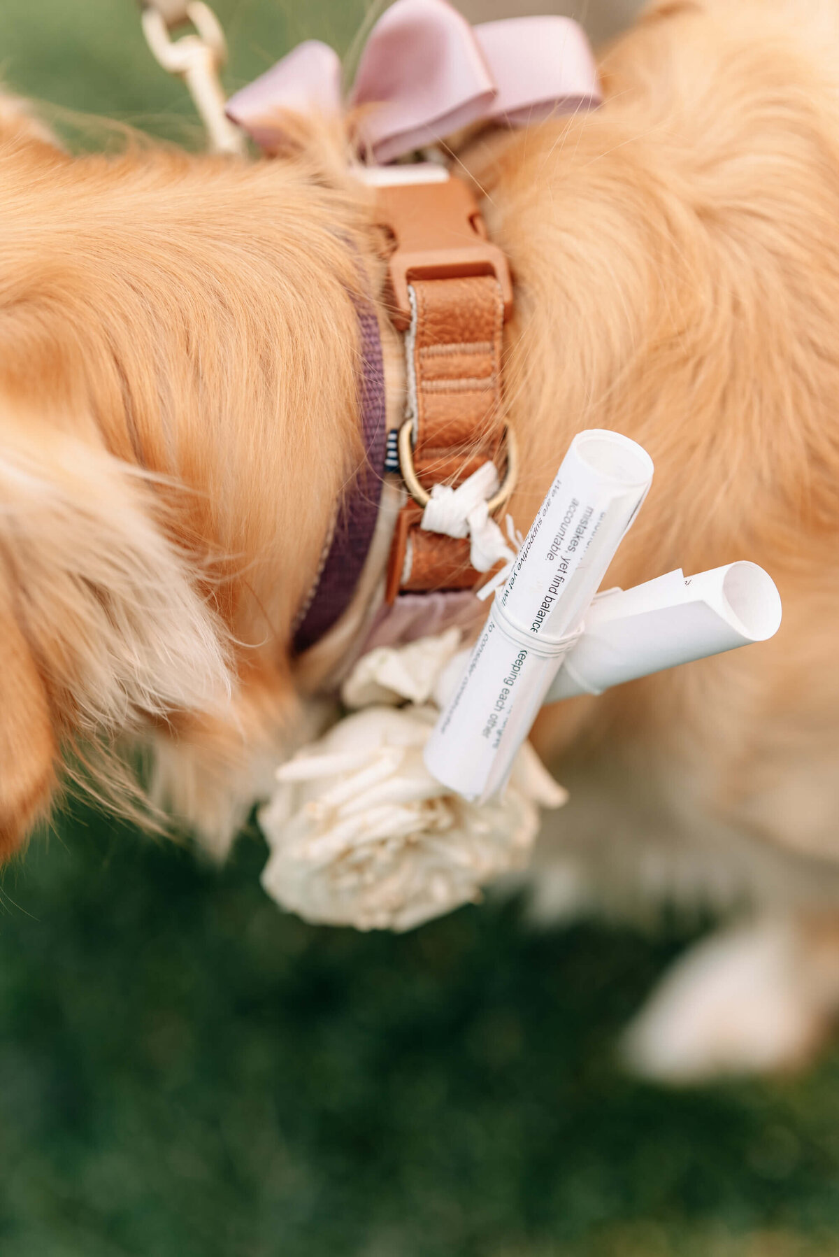 Kelowna-wedding-photographer (82)