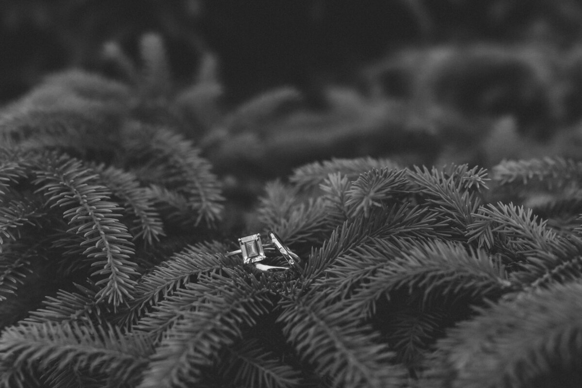 Clarissa&Jesse_EDITED(399of400)