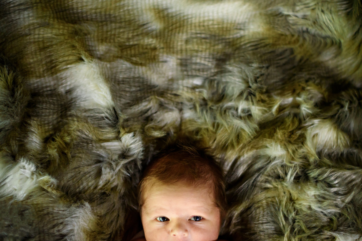 A week old baby looks up while laying on a brown fur blanket.